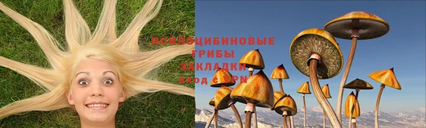 ПСИЛОЦИБИНОВЫЕ ГРИБЫ Алзамай
