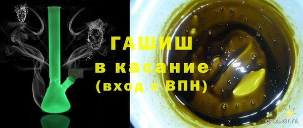 индика Алексин