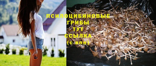 индика Алексин