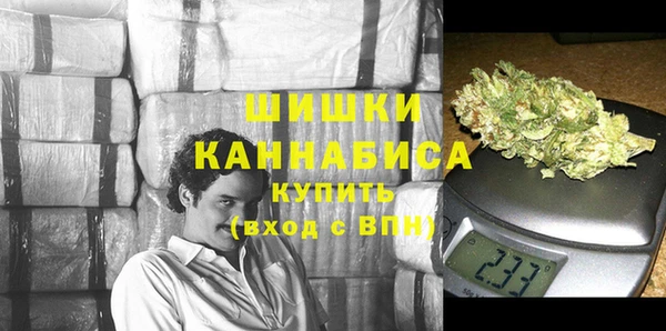 индика Алексин