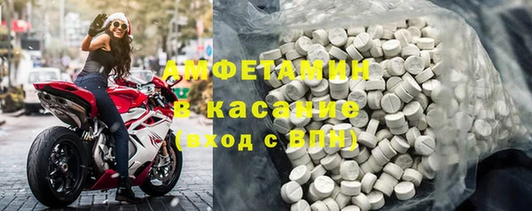 индика Алексин