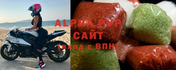 индика Алексин